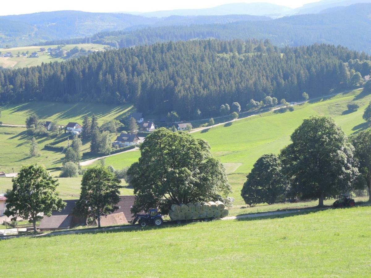 Ferienwohnung Saig Lenzkirch Exteriör bild